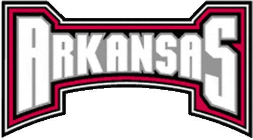 Arkansas Razorbacks 2001-2008 Wordmark Logo v6 iron on transfers for clothing